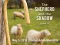 Icon of THE SHEPHERD AND THE SHADOW Discussion Questions